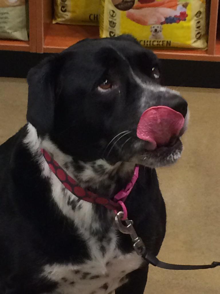 Tiffanie Wilkerson tweet media