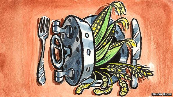 Preserving crop diversity is a vital insurance policy against the effects of climate change econ.st/1QqSTtj