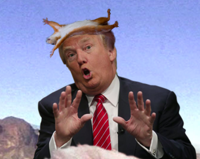 designhawg's tweet photo. pretty sure this is an improvement… #squirrelover #GOPDebate http://t.co/xRigQh1Bdz