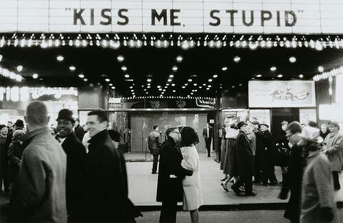 BewareHumans's tweet photo. Kiss me, stupid! http://t.co/kgYnw0h7fB