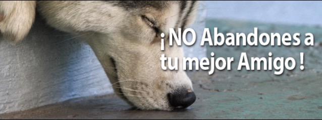 _Mat14s_'s tweet photo. Si vas a evacuar, no abandones a tu mejor amigo.
#Temblor http://t.co/whLMHxfigf
