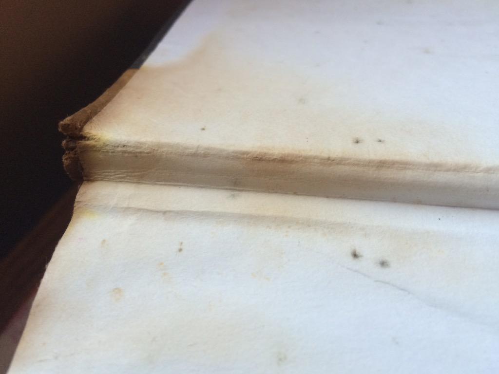 LizChrd's tweet photo. @CheggHelp this is upsetting &amp; really smelly. I understand I'm renting.. But really? http://t.co/cyq6TpVusJ