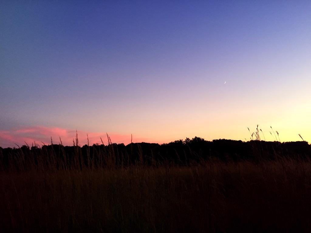 moonshinedub's tweet photo. dusty skies & ghostly crescent #properfade http://t.co/9c9cG8J7fS