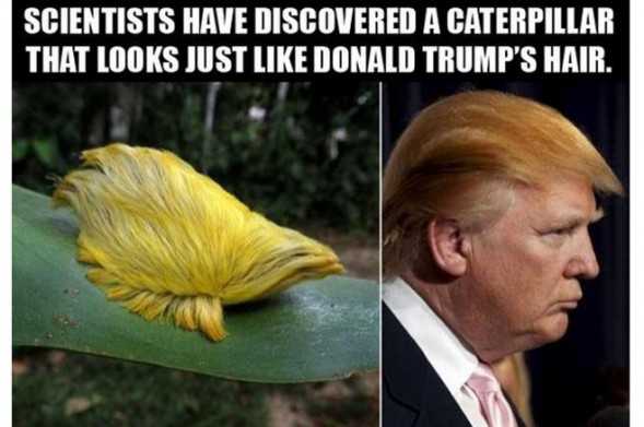 BigPudgeABQ's tweet photo. Carly Fiorona is DESTROYING the debates tonight! http://t.co/pcCX1173Sd