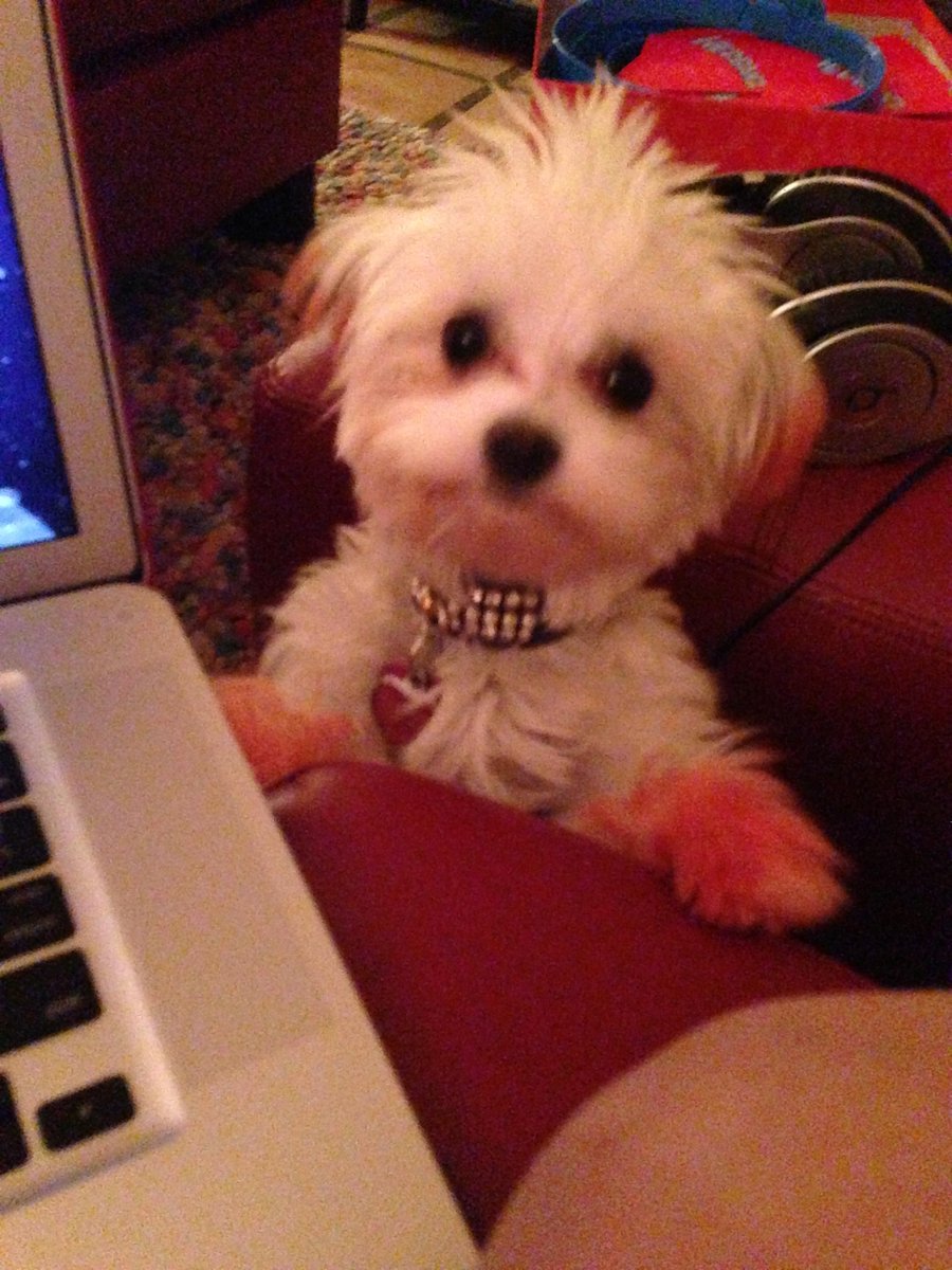 ManikaOfficial's tweet image. #ios9update and #snapchatupdate has Angel like...