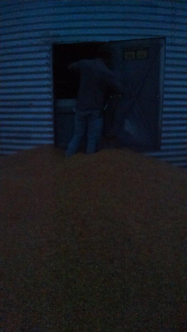 MariaCoxFarm's tweet photo. #harvestfail. Remember to shut grain bin doors before filling http://t.co/GZCjar7rp8