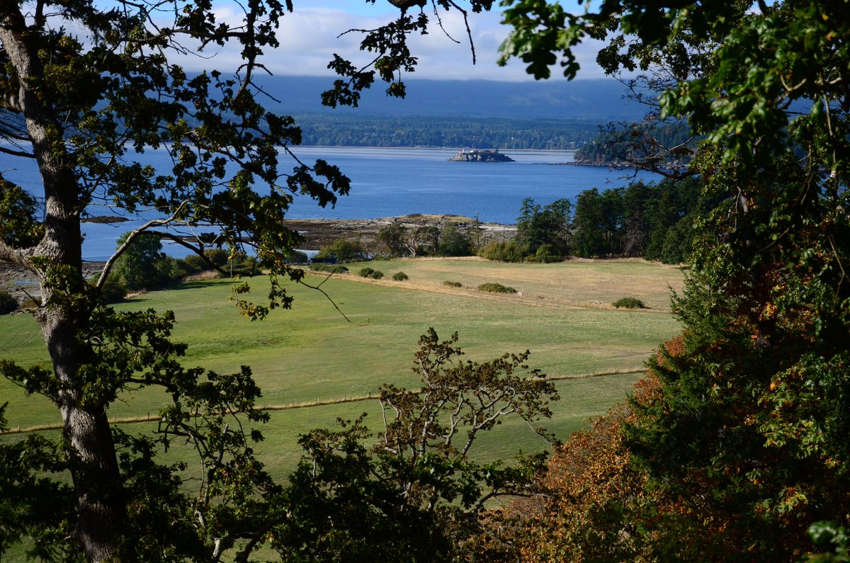 VancouverLocal tweet picture