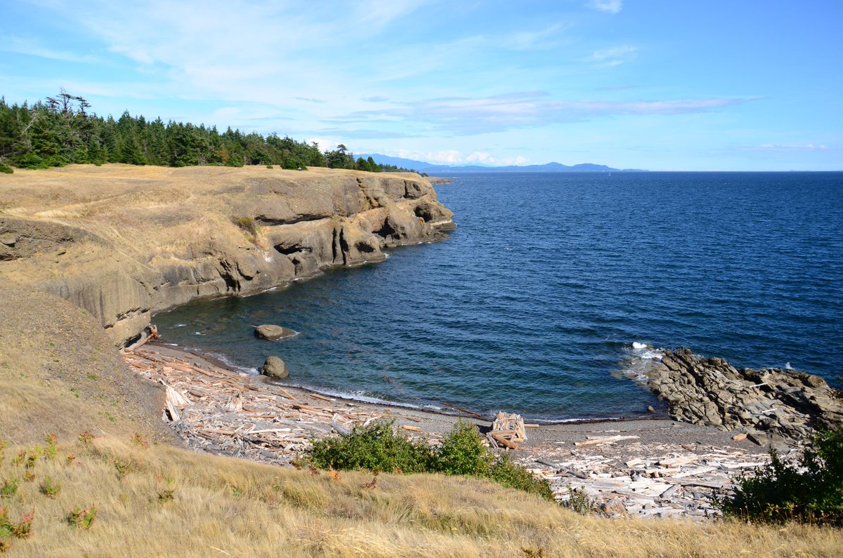 VancouverLocal tweet picture