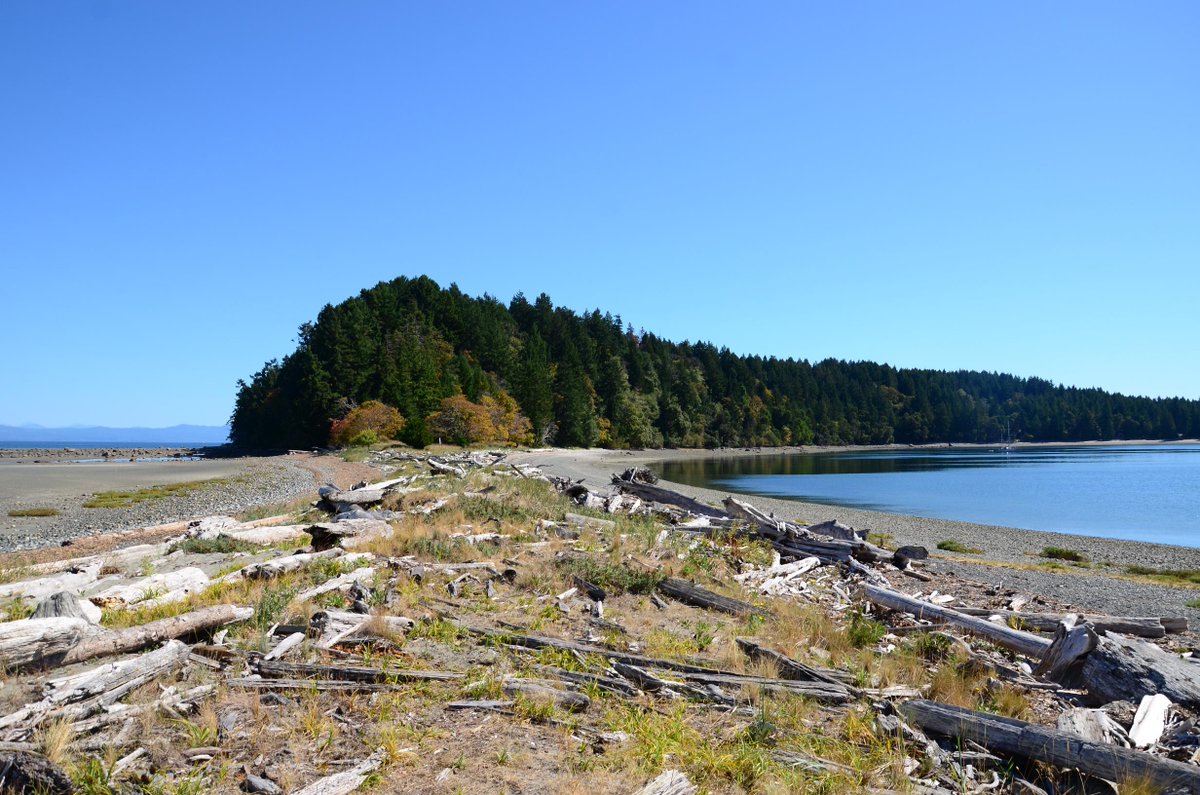 VancouverLocal tweet picture