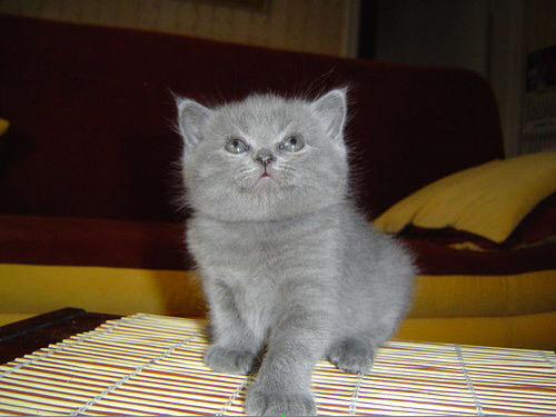 @BCDMAMITA <a href="/LOWKEYMAMXTA/">Mąmī Máddį</a> <a href="/plxystxtxon/">Grant</a> I'm in