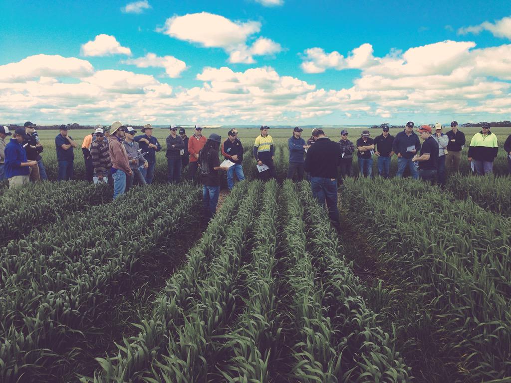 Headpat10's tweet image. Sean Mason @UniofAdelaide &amp;amp; @RichardMay19  discussing #sagit P rate response trial