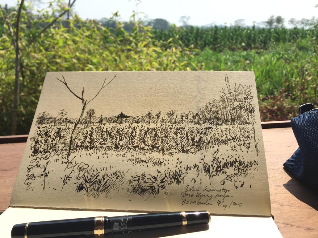 motulz's tweet photo. Kebun Tembakau Desa Karang Anyar Borobudur #TravelSketcher http://t.co/znA0yHXJ0o