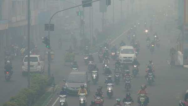 Bencana Kabut Asap Kian Parah di Pontianak, Berikut Penampakannya detik.id/VpyTRM