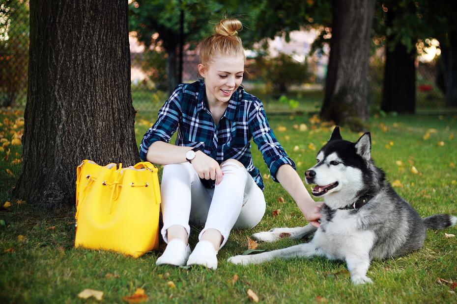 Studio_PDP's tweet photo. 💞Some husky love w/ Rozalia &amp; our honey bee #BucketBorealis Bag 💛🐝🐝✨ http://t.co/DxkUKfsAzT