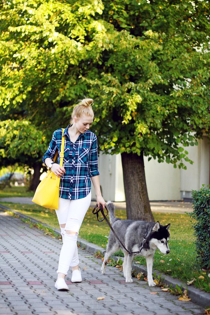 Studio_PDP's tweet photo. 💞Some husky love w/ Rozalia &amp; our honey bee #BucketBorealis Bag 💛🐝🐝✨ http://t.co/DxkUKfsAzT