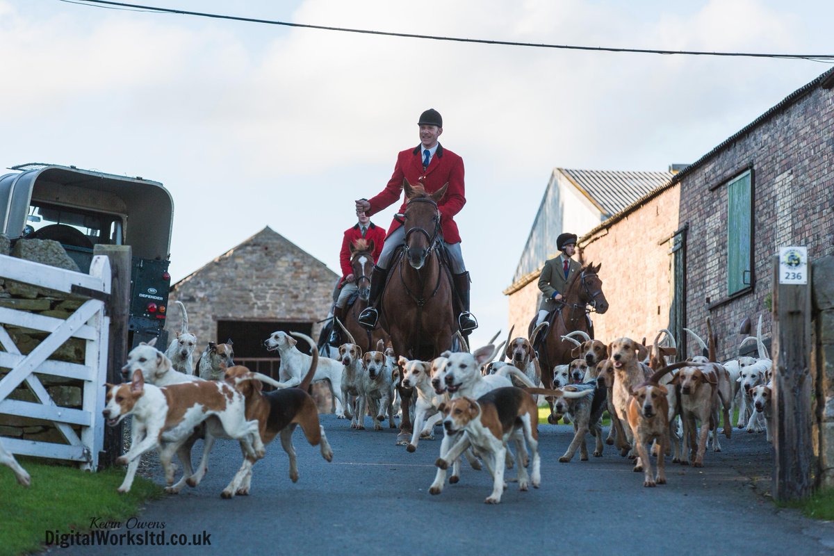 Gsxr1000UKKO's tweet photo. Braes of Derwent Hound Training @CAupdates @CAjilly @keephunting_
#hunting #hounds #bdh #ryanmania #countryside http://t.co/FtzYThZVOJ