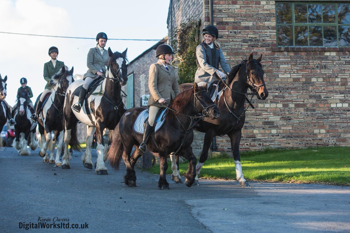 Gsxr1000UKKO's tweet photo. Braes of Derwent Hound Training @CAupdates @CAjilly @keephunting_
#hunting #hounds #bdh #ryanmania #countryside http://t.co/FtzYThZVOJ