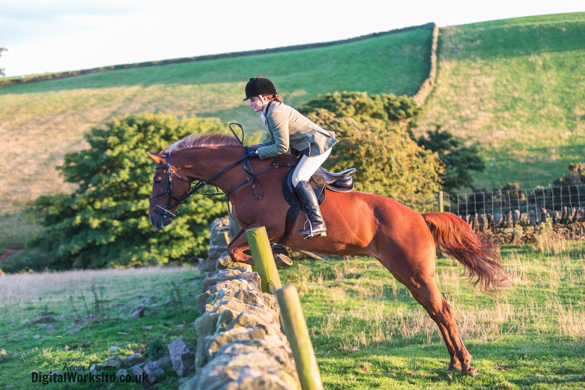 Gsxr1000UKKO's tweet photo. Braes of Derwent Hound Training @CAupdates @CAjilly @keephunting_
#hunting #hounds #bdh #ryanmania #countryside http://t.co/QloUUh5nnH