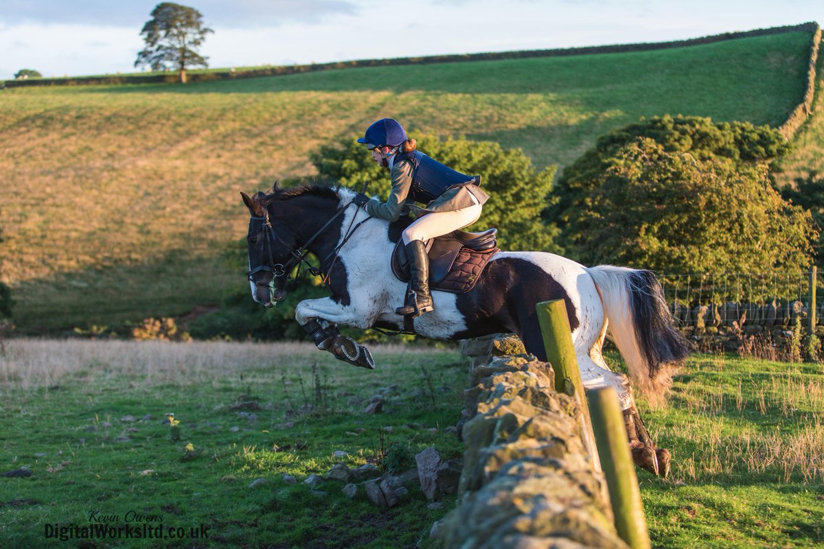 Gsxr1000UKKO's tweet photo. Braes of Derwent Hound Training @CAupdates @CAjilly @keephunting_
#hunting #hounds #bdh #ryanmania #countryside http://t.co/QloUUh5nnH