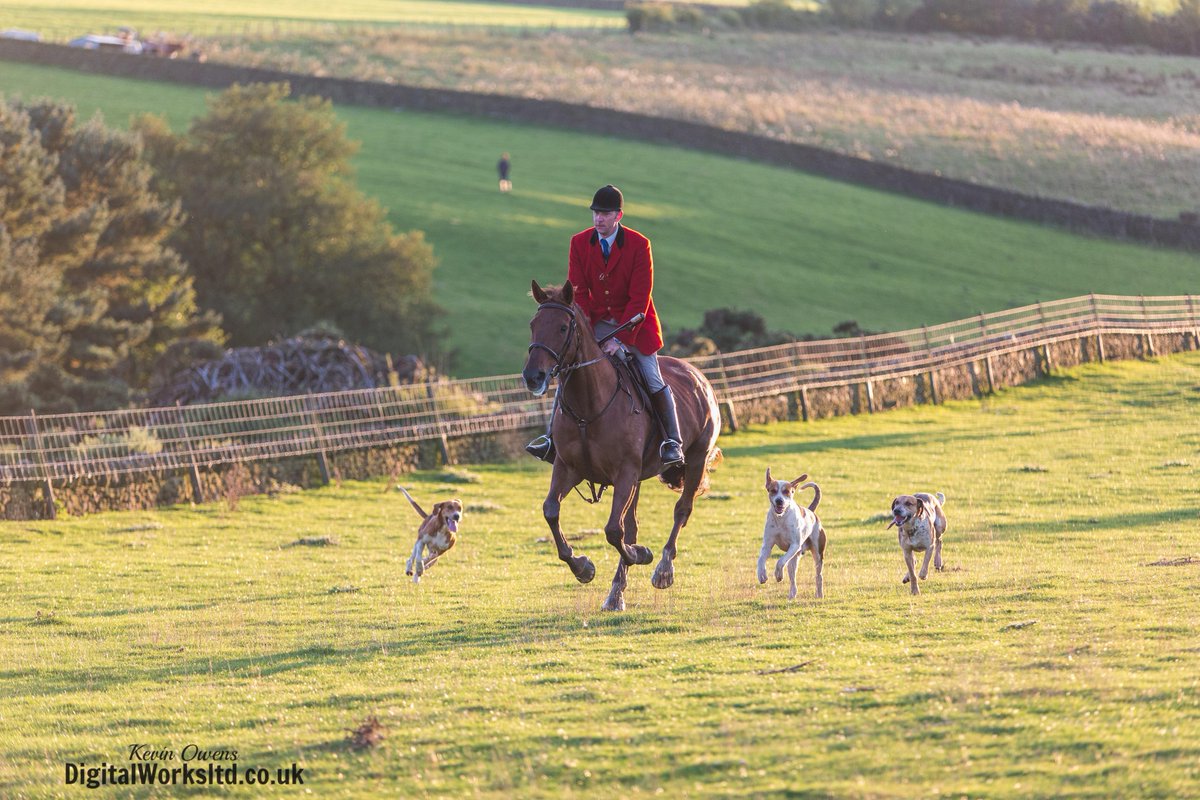 Gsxr1000UKKO's tweet photo. Braes of Derwent Hound Training @CAupdates @CAjilly @keephunting_
#hunting #hounds #bdh #ryanmania #countryside http://t.co/QloUUh5nnH