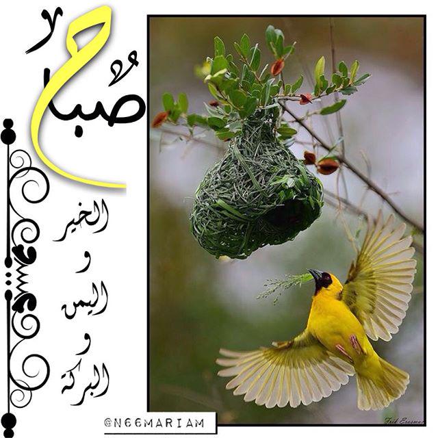 akeel_akil1983's tweet photo. @ShSQ8 @bntelhuda @sj3samr @T6__6 @moon_q8_86 @12_imams @ReT6_6 @ssalmousawii @sammr3 @r_shiaa1 @ReTweeT2_Q8 http://t.co/6QbPZqraq4
