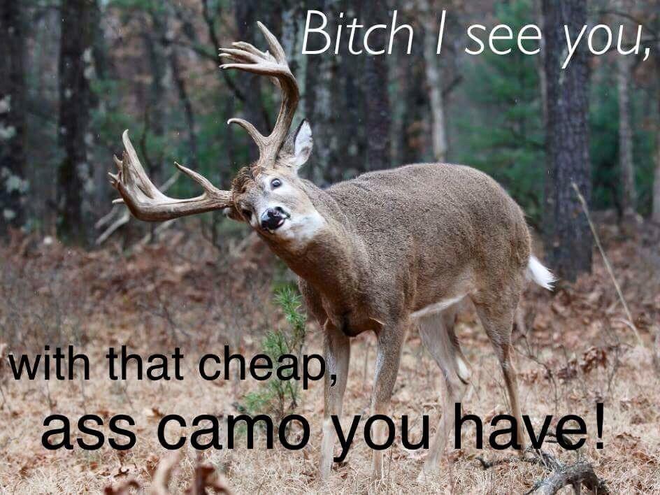 Lols