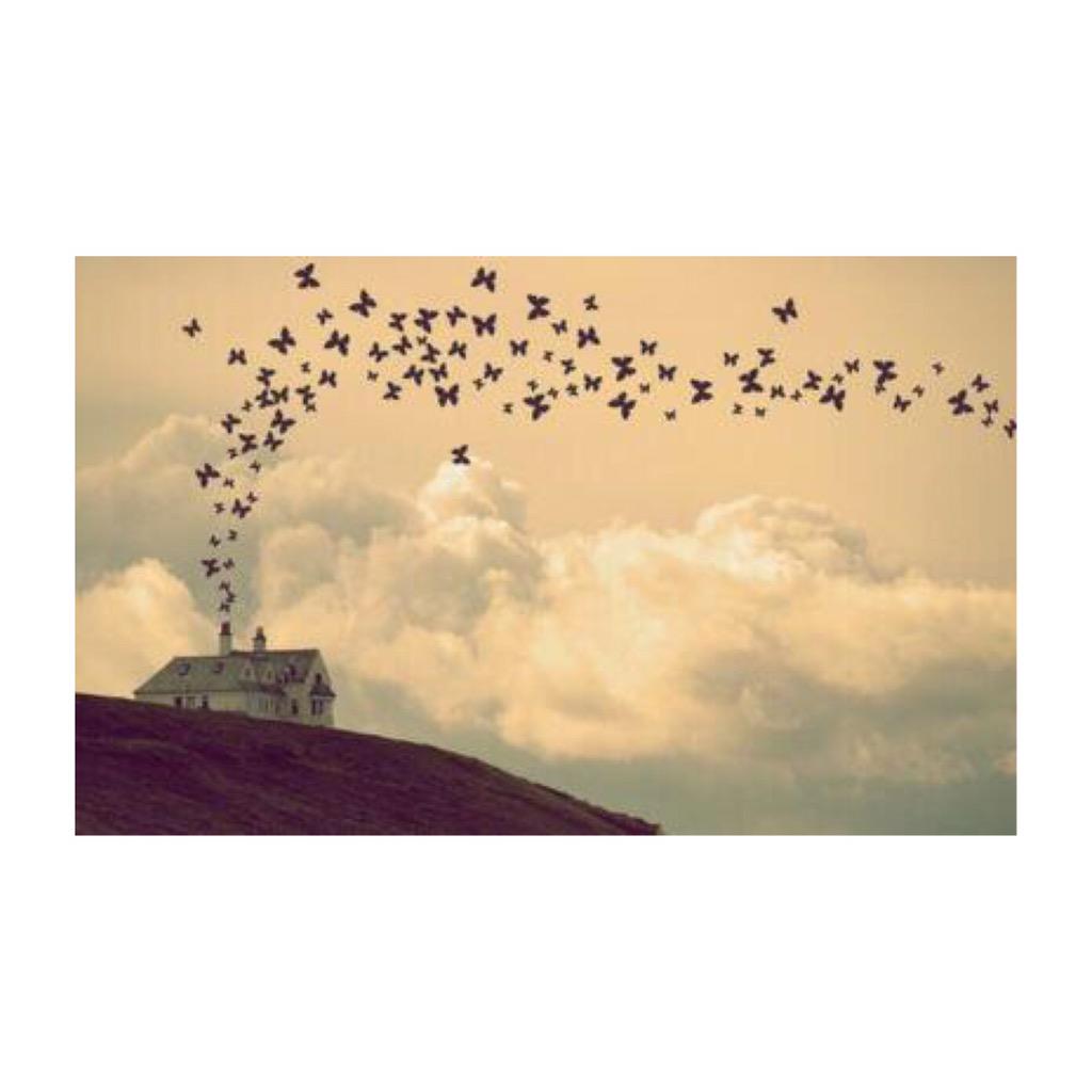 alkhalid_777's tweet photo. http://t.co/SL66GIiQ28