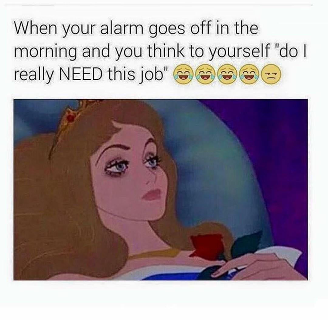 LasulaBoutique's tweet image. Every. Single. Day. #MorningProblems