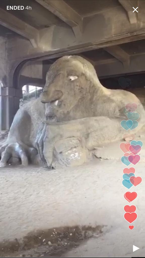 jennythegrlking's tweet photo. Really enjoyed replay #periscopetravels in Freemont with @jennyinspired2! Loved the #trollscope lesson! #Periscope http://t.co/7d7C7LHQvK