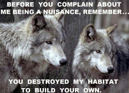 CPFYjN_WsAAOmxO.jpg:large