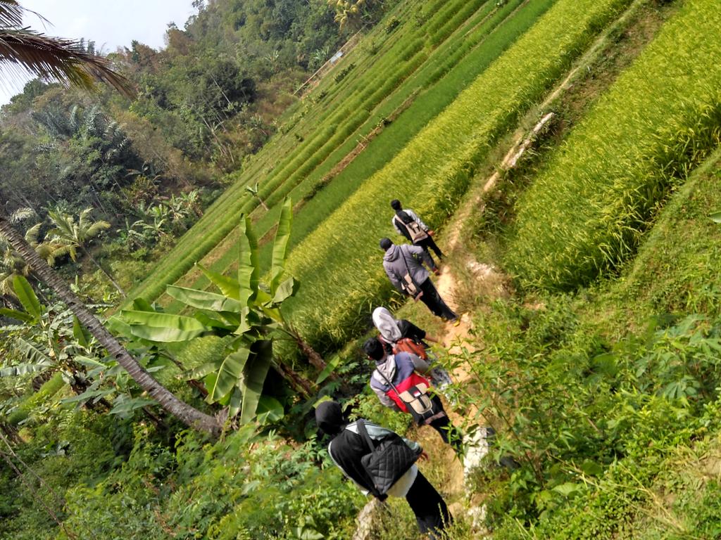 SatapSumurugul's tweet photo. Kepala sekolah sareng guru2 SMPN satap + SDN Sumurugul kompak jaralan kaki angkat + pulang sakolana 😀 @DediMulyadi71 http://t.co/cufRJj0Z8w