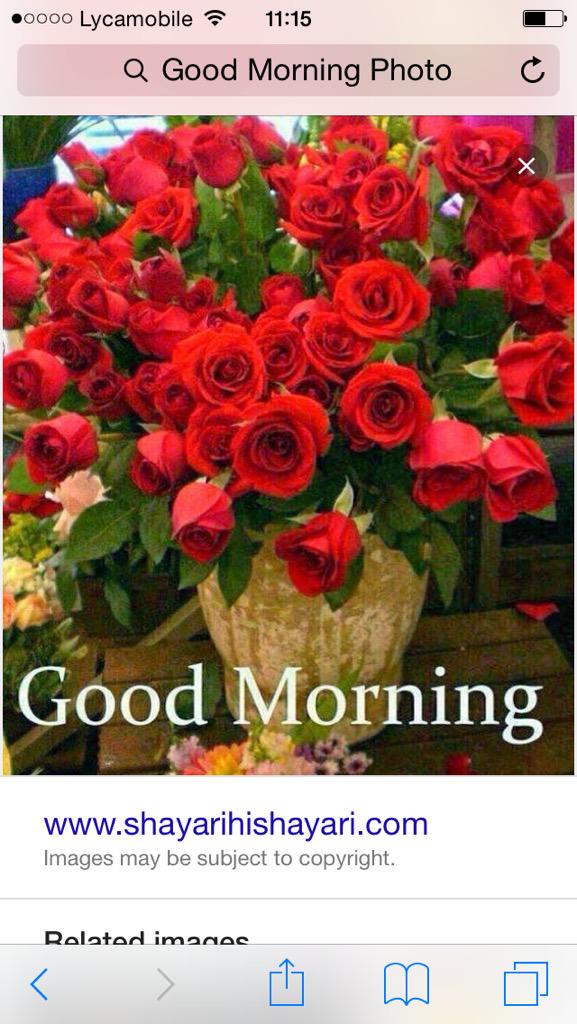 MsginsanKaur's tweet photo. @Gurmeetramrahim #1DayToMSG2 Dhan Dhan Satguru tera hi Asra🙏🌺🙏Gud Morning💐🌷🌹🌺Hv a lovely day🌻🍀🌳🍄🌼🌷Sbnu Ashirwaddena http://t.co/pyrHOcBp6S