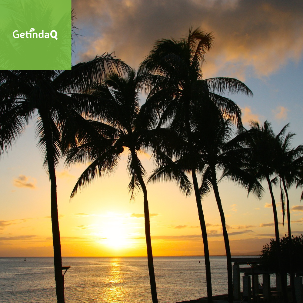 GetInDaQ's tweet image. #Tsunami Advisory Issued For #Hawaii! Stay safe Hawaii!