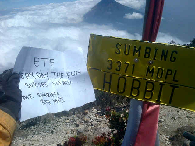 EVERYDAY THE FUN tweet media