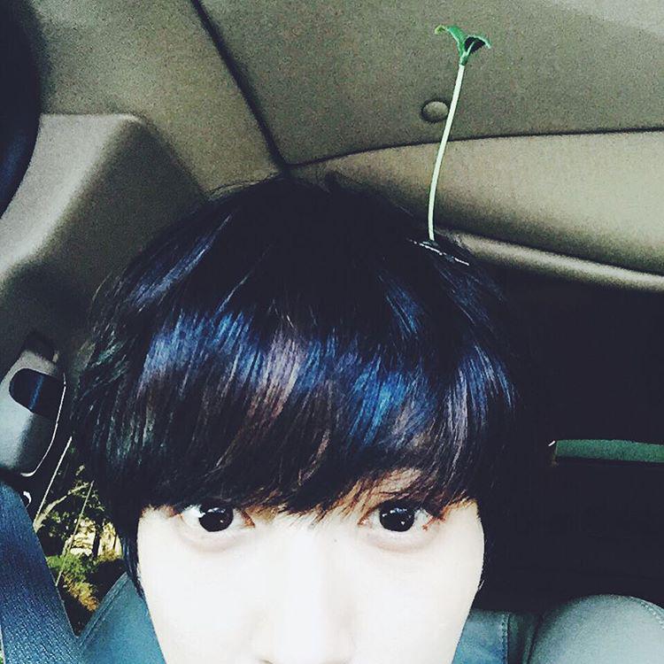 埋め込み画像への固定リンク