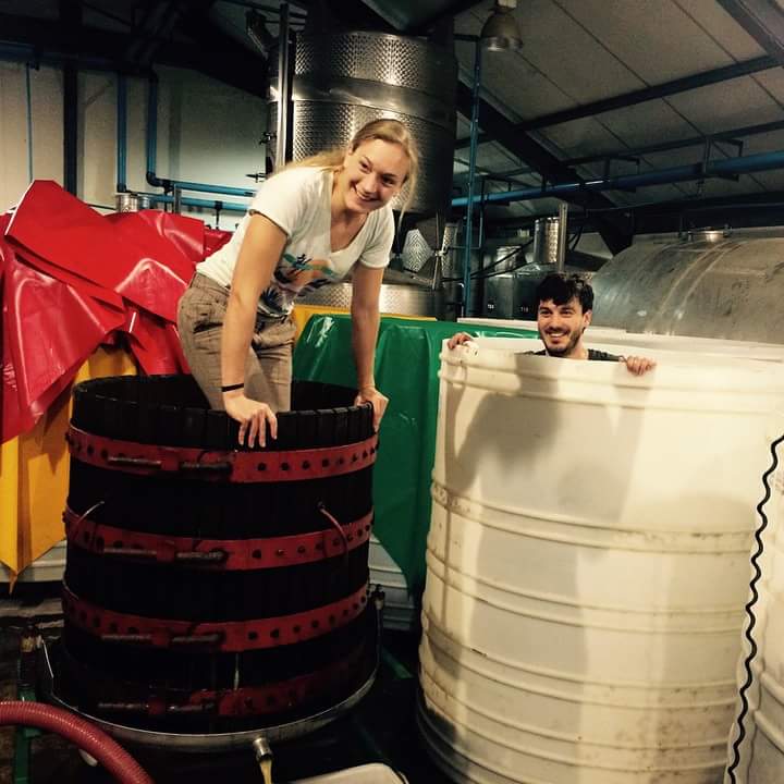 ellenvandewijn's tweet photo. Lotte Wolf haalt haar Zuid-Afrikaanse natuurwijninspirator Johan Meyer naar restaurant Bridges http://t.co/DceG8tOU5T http://t.co/6kep0jDcwm