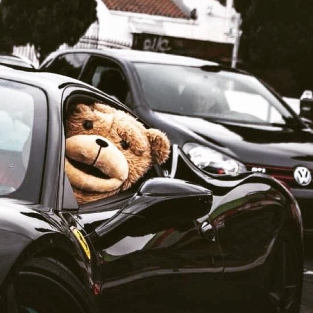 OnlyFerrariPics's tweet photo. #enjoy #crazy #funny #funtimes #ferrari458 #instalike #like #instafollow #pupazzidipezza #friends #follow #mycar #m… http://t.co/elOciyHc1k