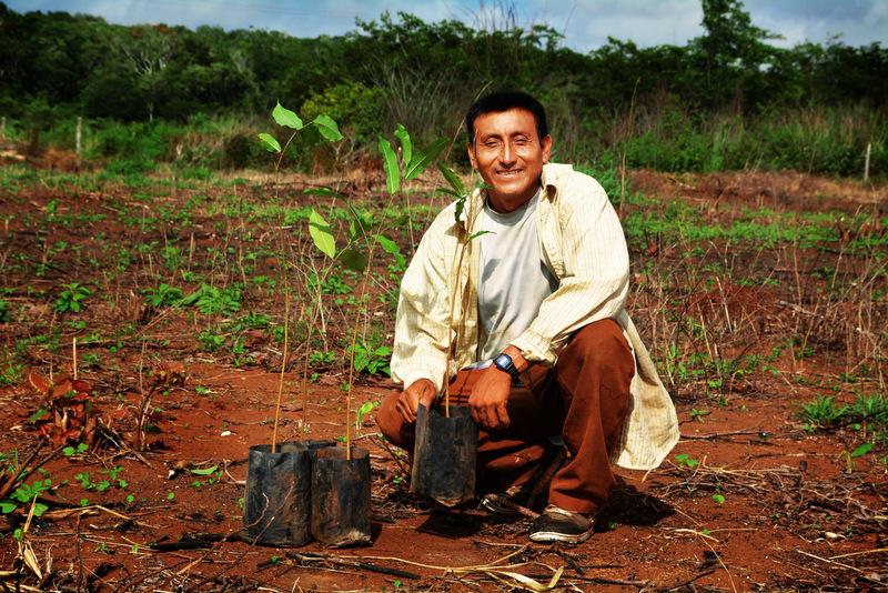 jonathan_guyot's tweet photo. #ActForPositive - @TheTreeHub plante des arbres pour soutenir le développement des populations rurales et le #climat http://t.co/LMDW7rPs57