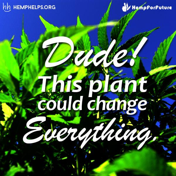 HempHelps's tweet photo. #Hemp can save it! #ExplainEarthIn4Words http://t.co/XjzuoeVX7Q