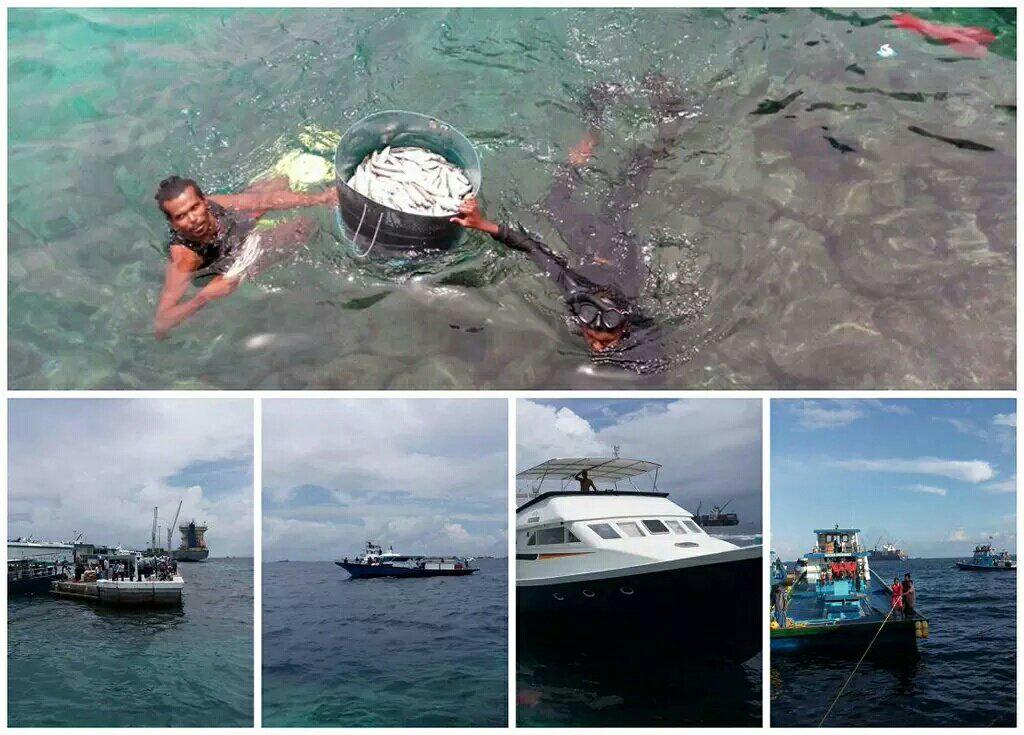 thayyib's tweet image. Mahun lefi dhoani thakah Male' falhah nuvadhevi,  fathaafai mas baalanee!
#MasVeringeAdhugeHaalathu!
#sickpresident