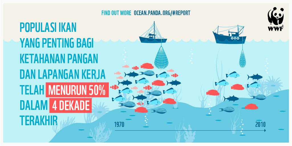 Populasi ikan yg penting bagi ketahanan pangan &amp; lapangan kerja telah menurun 50% dalam 4 dekade terakhir #BluePanda