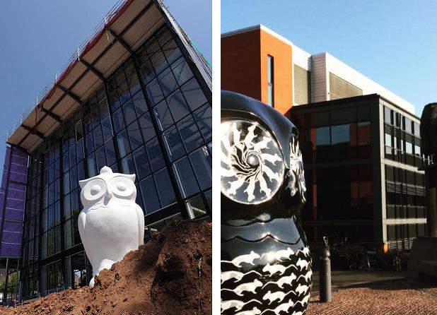 The Big Hoot (@thebighoot2015) on Twitter photo #TBT #ThrowbackThursday Here's <a href="/Bone_Ranger/">The Bone Ranger</a> guarding the new sports centre at <a href="/unibirmingham/">Uni of Birmingham</a> before his makeover! #TBT #ThrowbackThursday Here's <a href="/Bone_Ranger/">The Bone Ranger</a> guarding the new sports centre at <a href="/unibirmingham/">Uni of Birmingham</a> before his makeover!