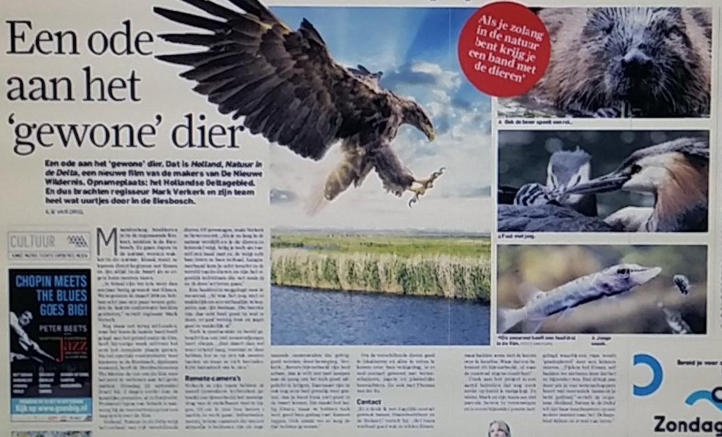 YourWishes tweet media