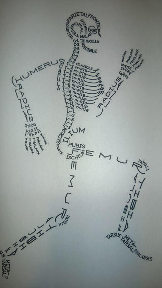 Know your bones.