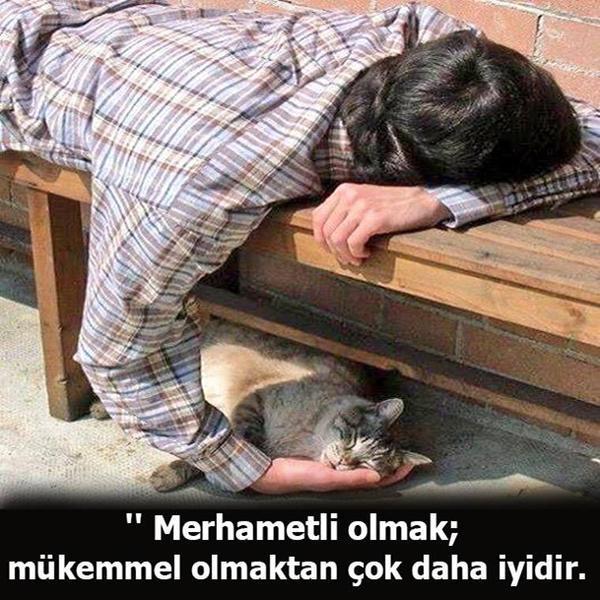iyiTriloji's tweet photo. Merhametli olmak, mükemmel olmaktan çok daha iyidir. http://t.co/9eqHdSASSq