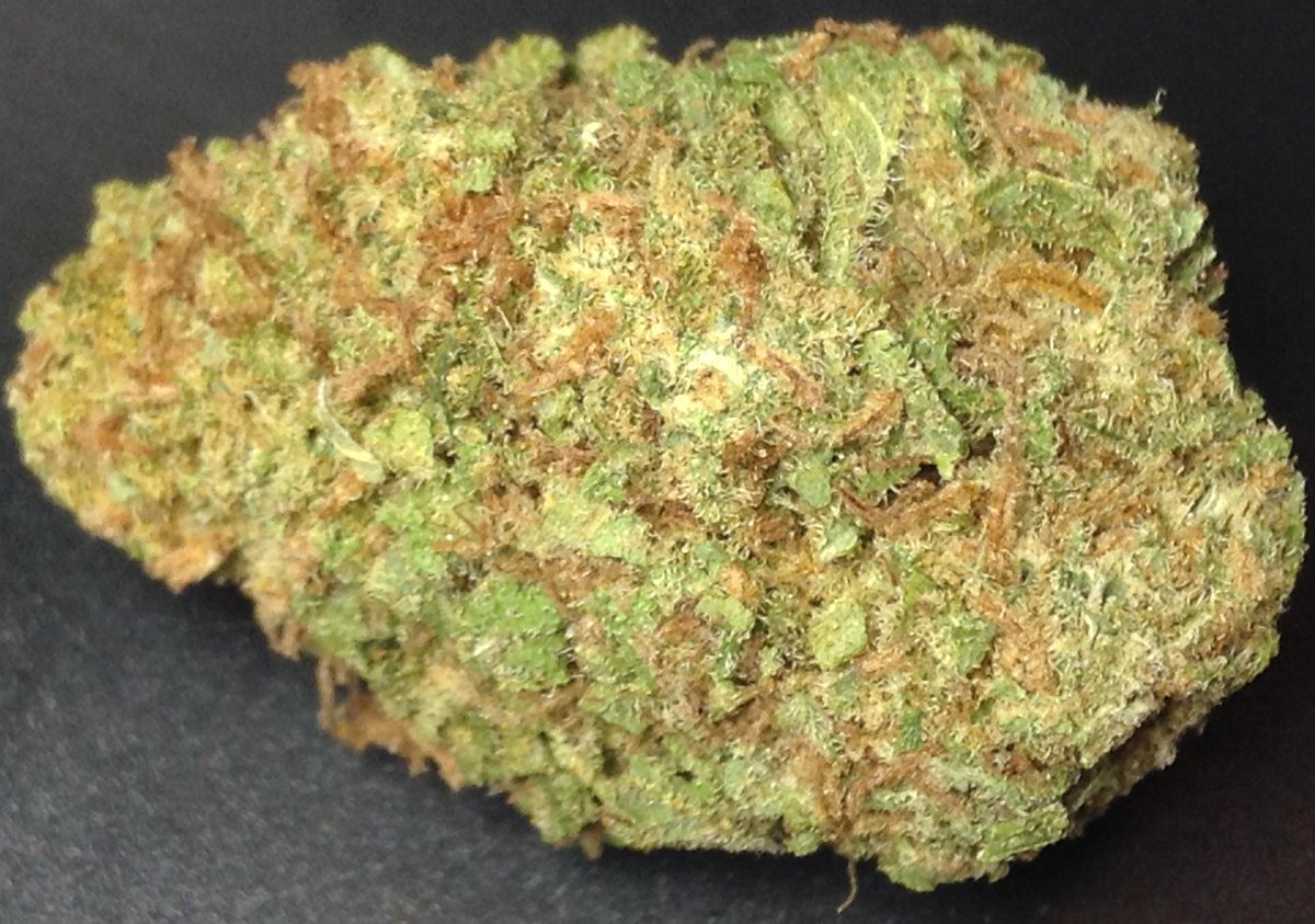 theAgingEnt's tweet photo. #Indica #Review http://t.co/kEYaYkEufQ #WAPot #OKOG #ColumbiaTerritory #Potent #Marijuana #StonerNation #Indacouch http://t.co/5Iqk58qWs7