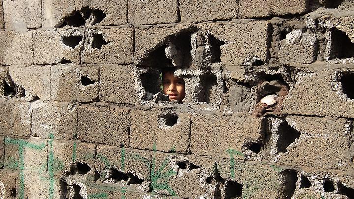 Leylan Uca tweet media