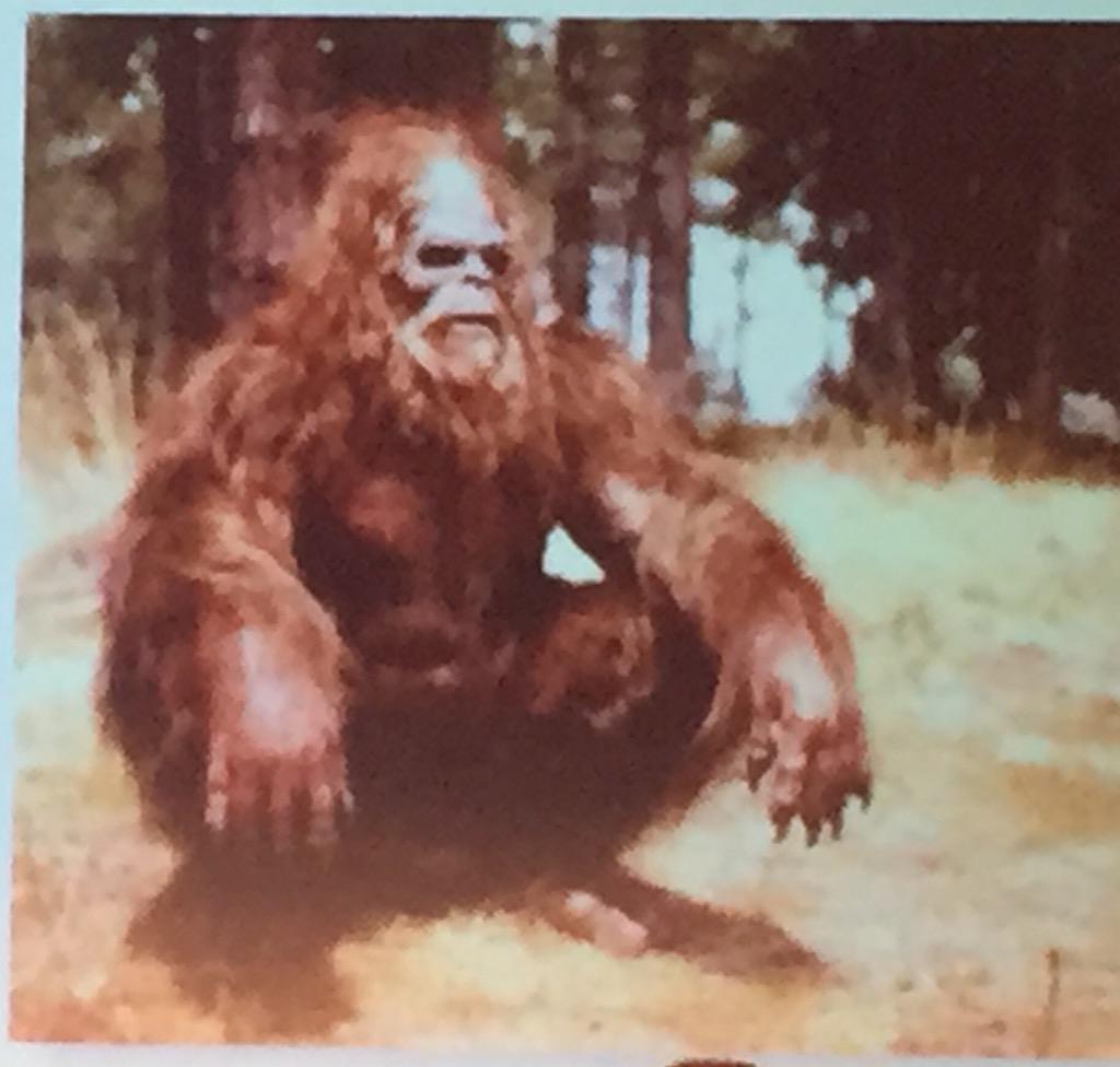 KatyBritzmann's tweet photo. I believe in Sasquatch AND free WIFI!! #hyattconnect http://t.co/YHLU1dKWGN
