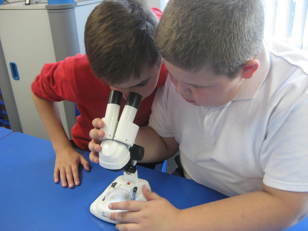 BedePrimSchool's tweet photo. Our @RoyalMicroSoc box arrived this afternoon: a quick look at sand brought our first "Whooooa!" from our scientists! http://t.co/rBP6gSGFy0