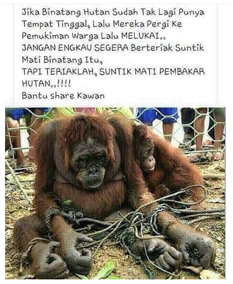 tripleK31's tweet photo. Benar! | Yuk gabung sosmed asli Indonesia! http://t.co/qW5U1E4BTb | cc @BuzzBuddies_ID http://t.co/1CSbDjTs84